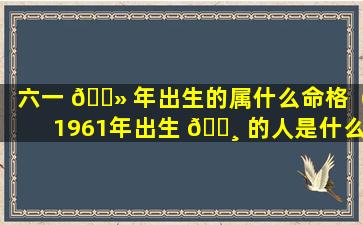 六一 🌻 年出生的属什么命格（1961年出生 🌸 的人是什么命）